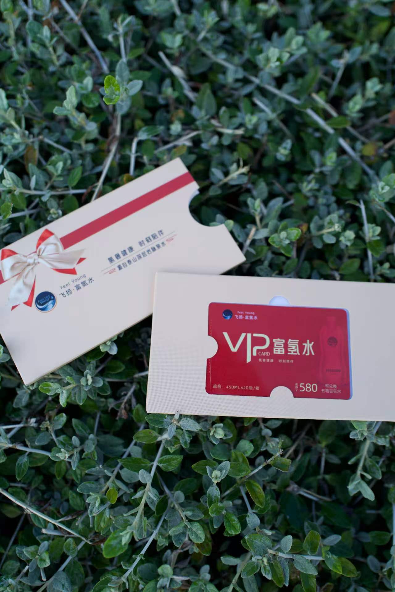 飞扬富氢水VIP卡可兑换 5 箱 450ml*10 袋 ×2 箱 中秋送礼 健康好礼 走亲访友 送长辈