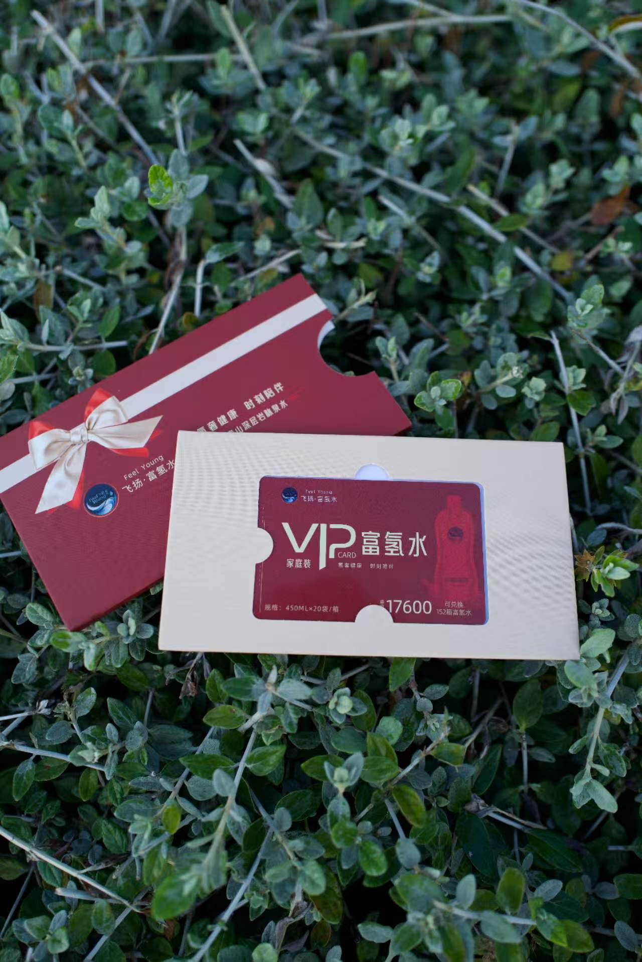 飞扬富氢水家庭卡 VIP 储值卡 可兑换 152 箱 450ml*10 袋 ×2 箱 中秋送礼 商务伴手礼 健康好礼